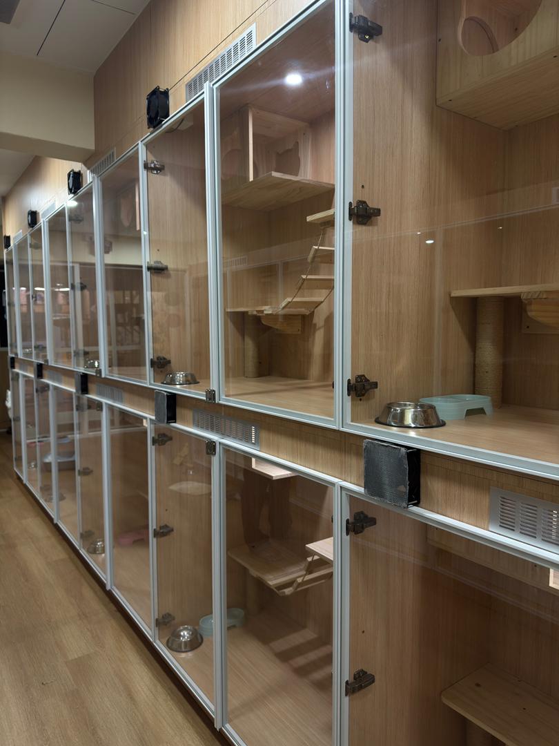 Luxury Cat Hotel Suites