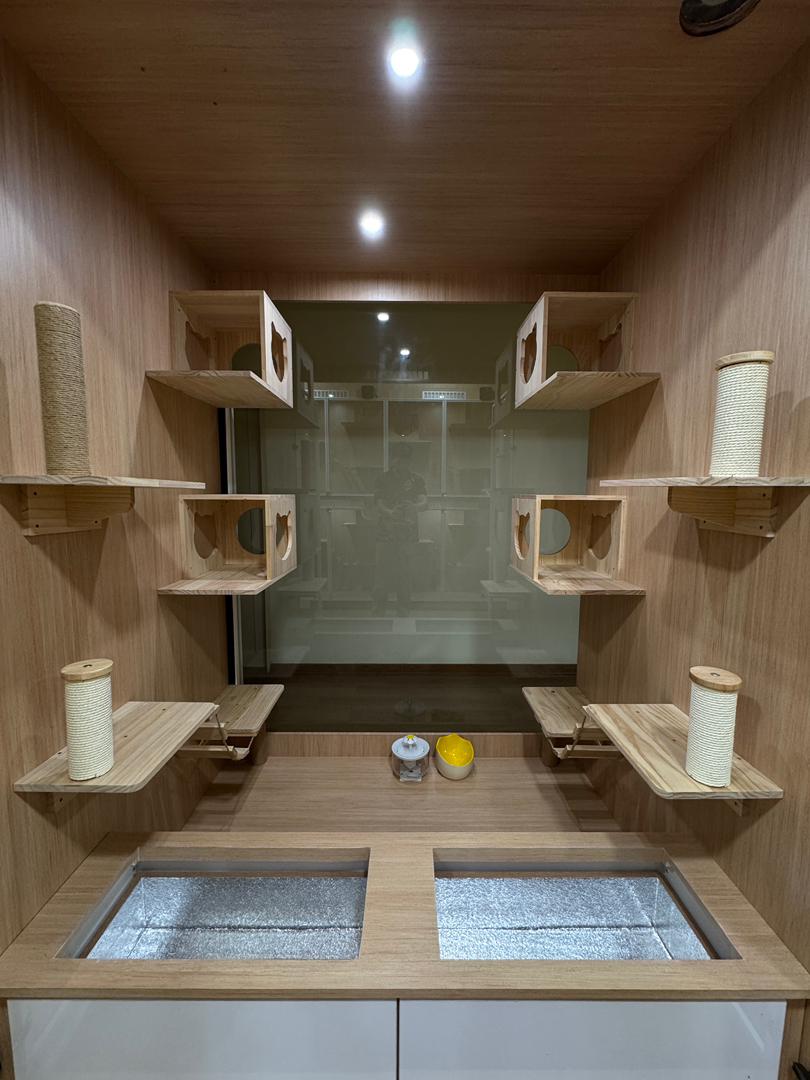 Spacious indoor play area for cats with toys