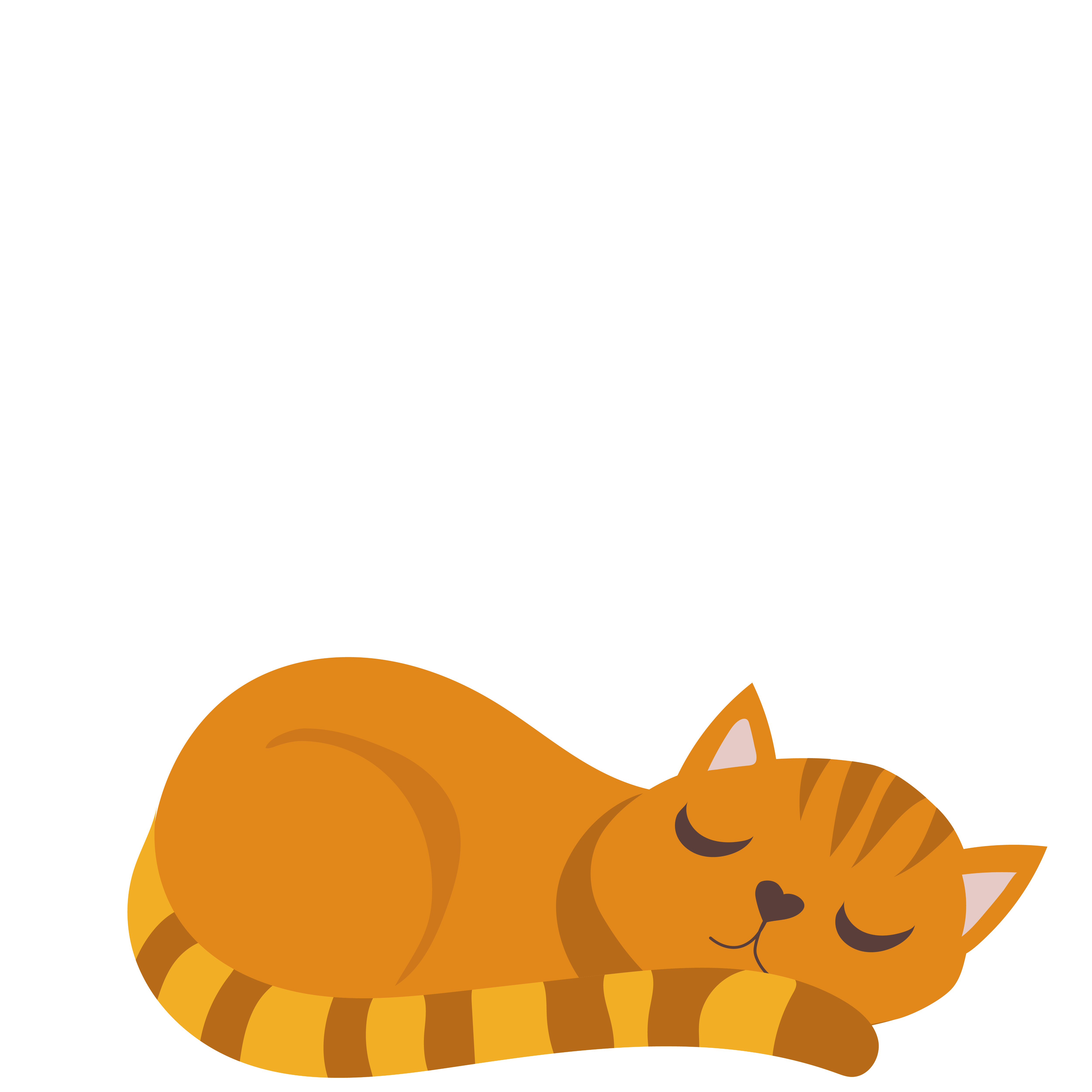 Sleeping Cat